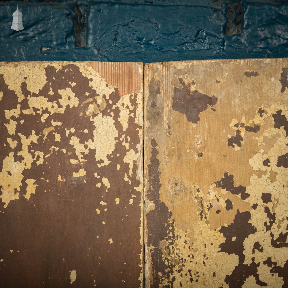 Pine Cupboard Door Pair, Distressed Paint