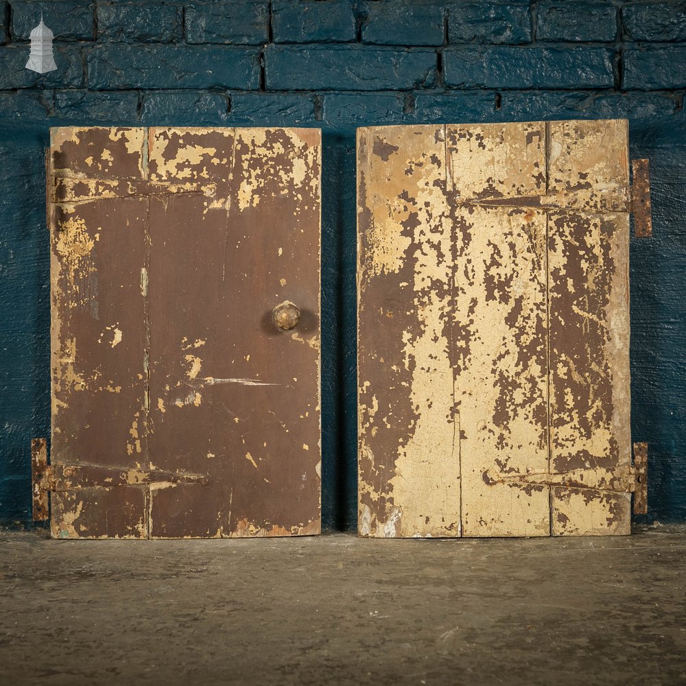 Pine Cupboard Door Pair, Distressed Paint