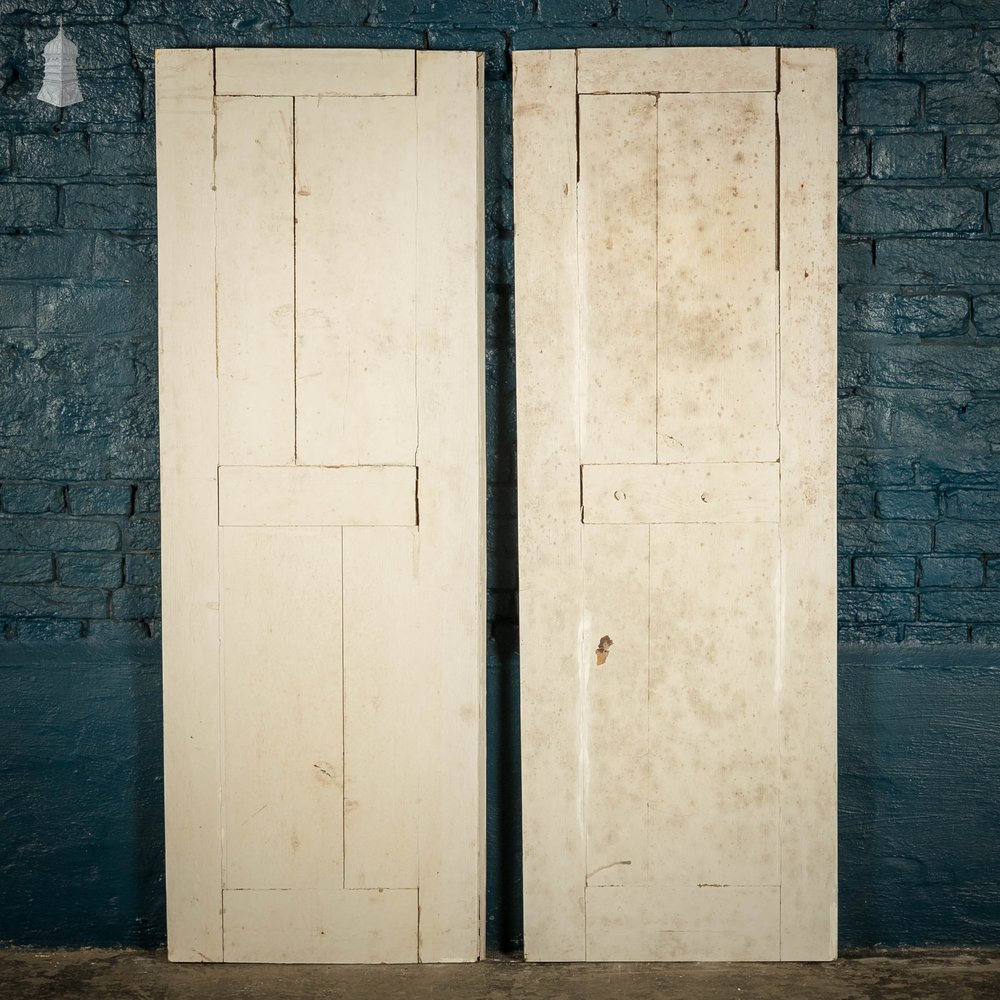 Pine Cupboard Door, White Painted 2 Moulded Panel Pair