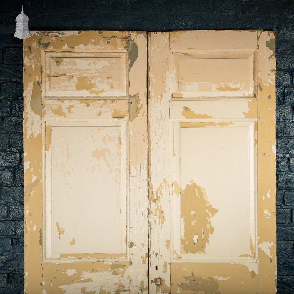 Pair of 3 Panel Doors