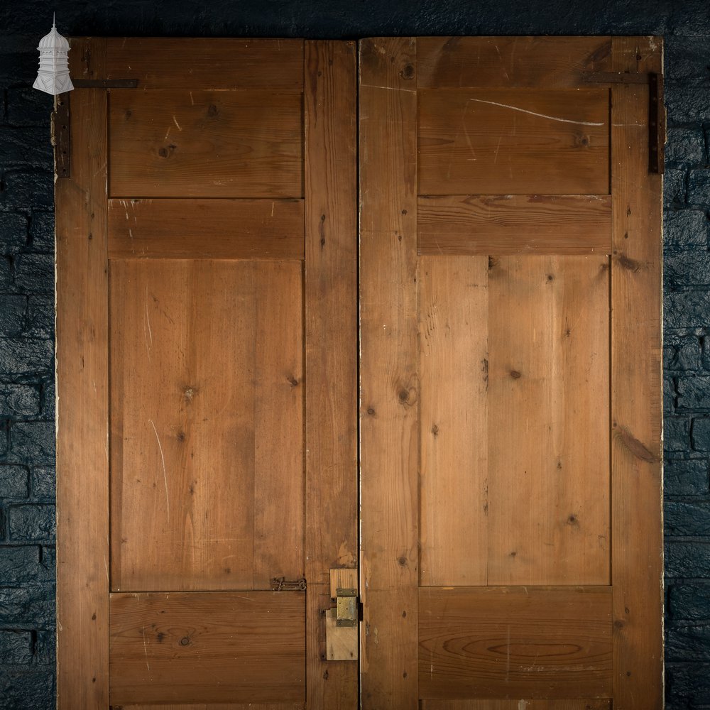 Pair of 3 Panel Doors