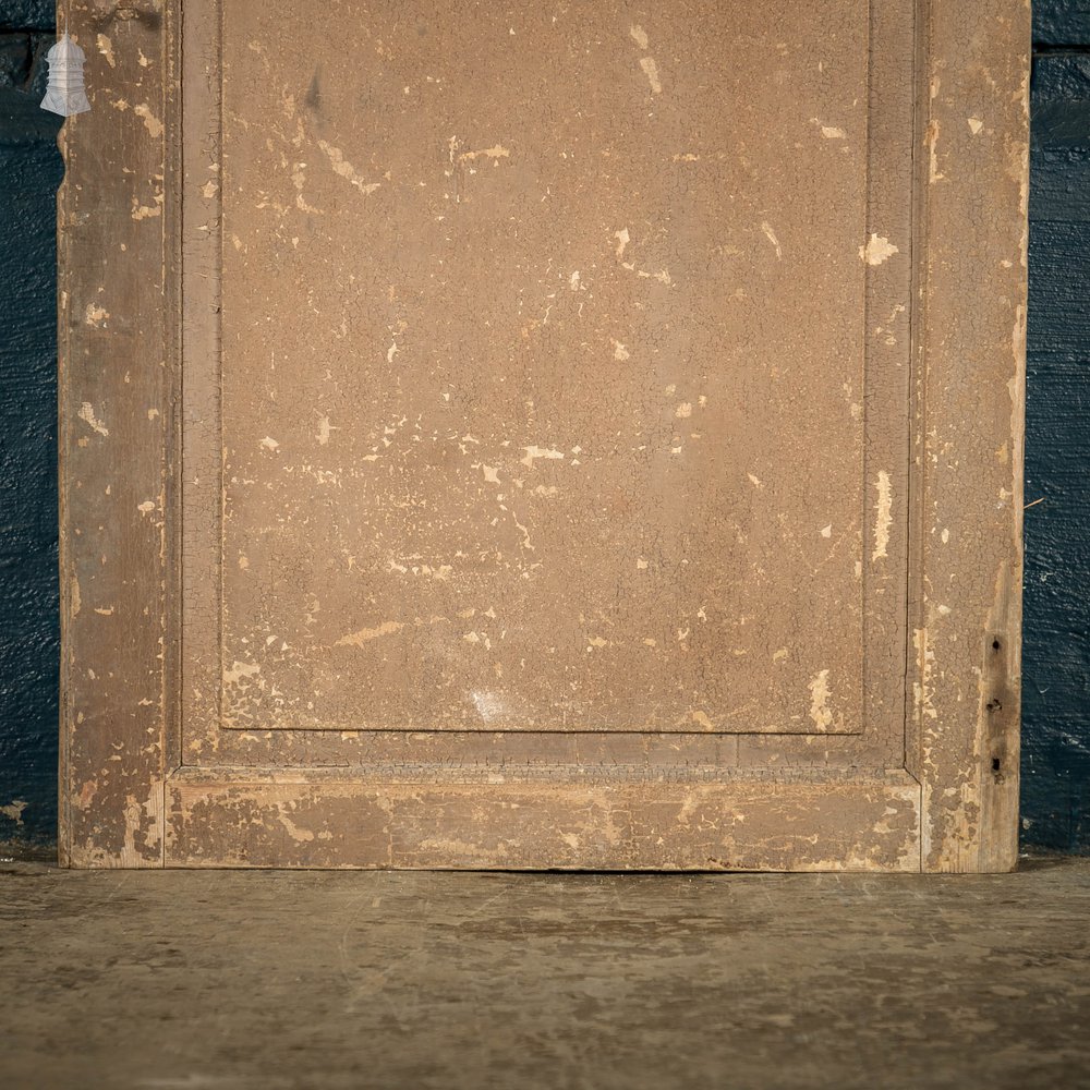 French Cupboard Door, 18th C Moulded 2 Panel Pine Door with Distressed Painted Finish