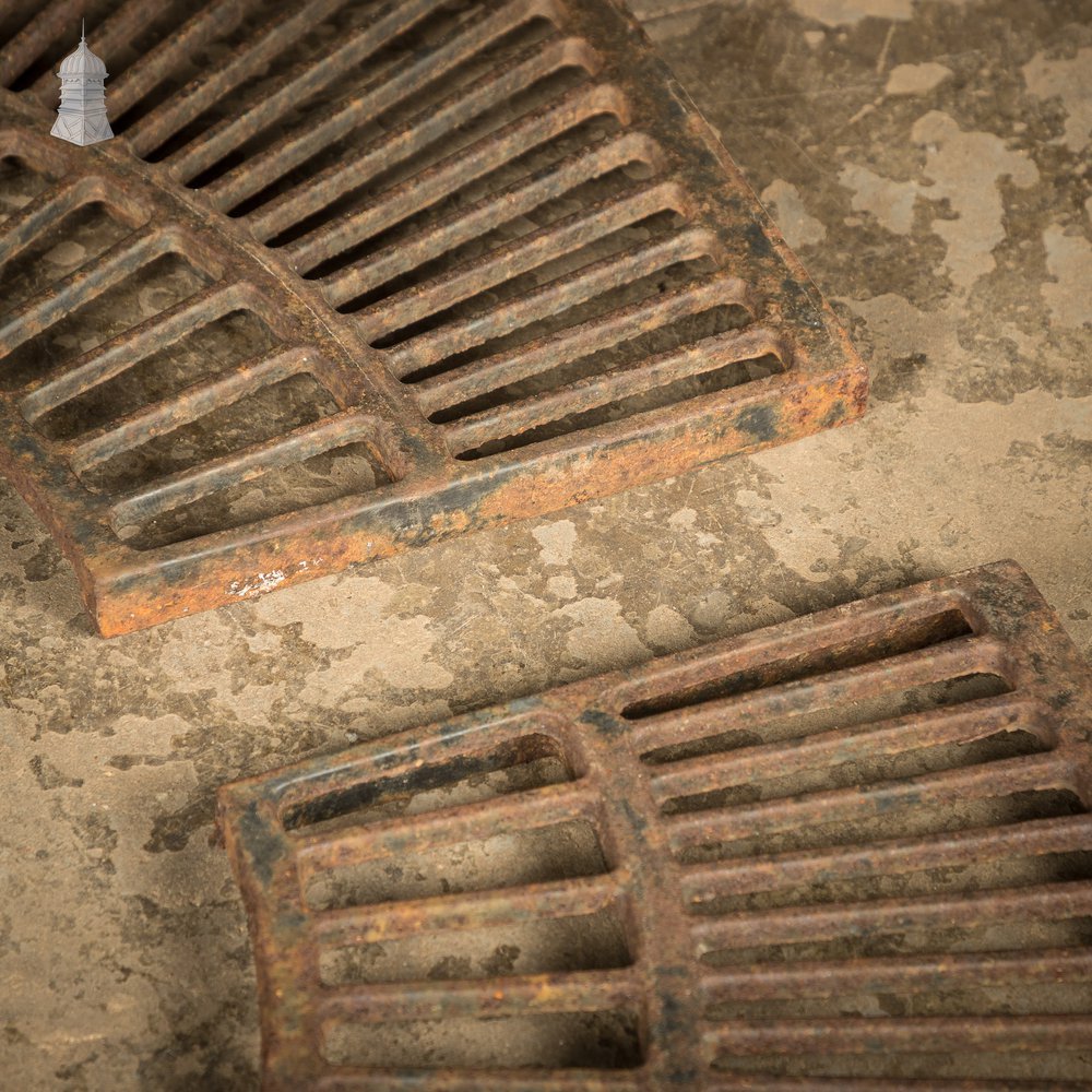 Pavement Root Guard for Trees, Cast Iron