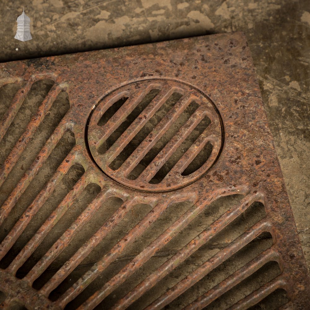 Pavement Root Guard for Trees, Cast Iron