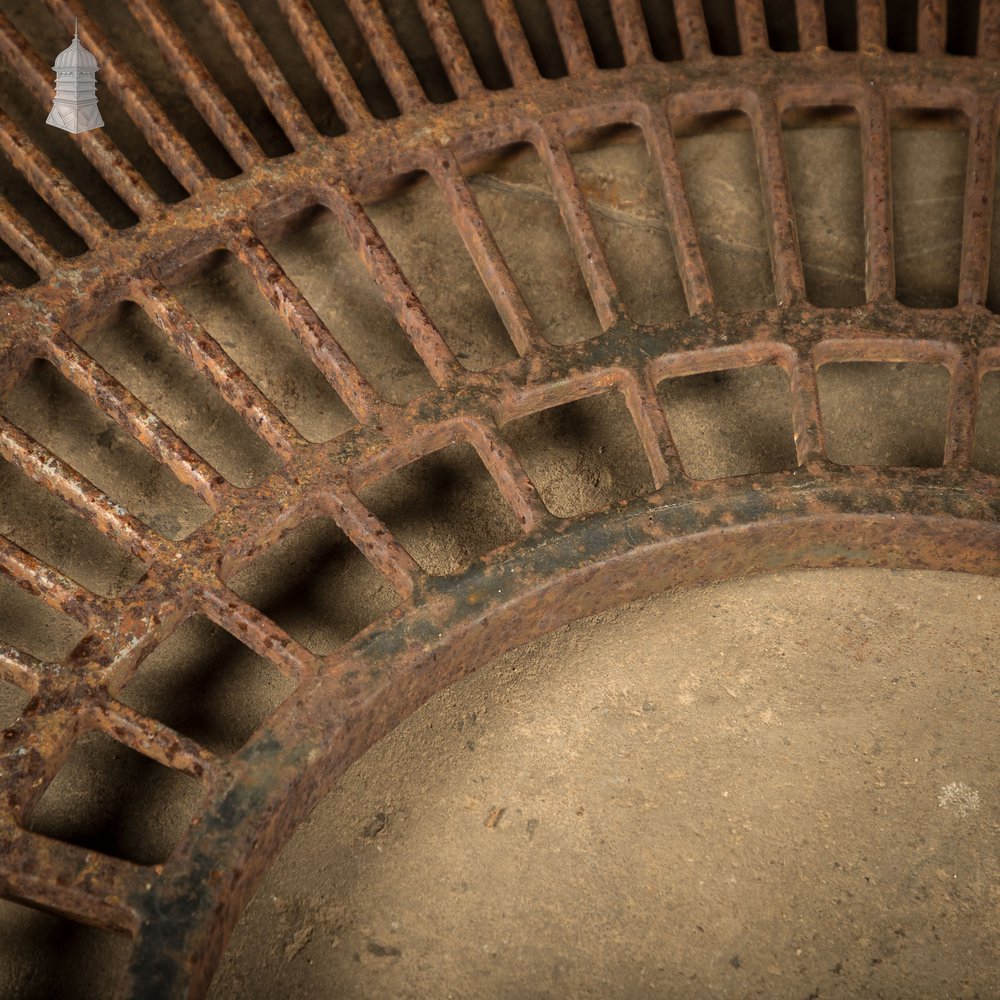 Pavement Root Guard for Trees, Cast Iron
