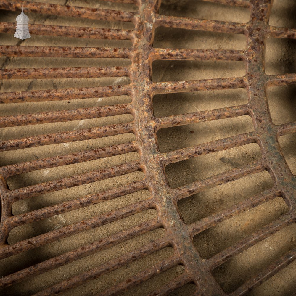 Pavement Root Guard for Trees, Cast Iron