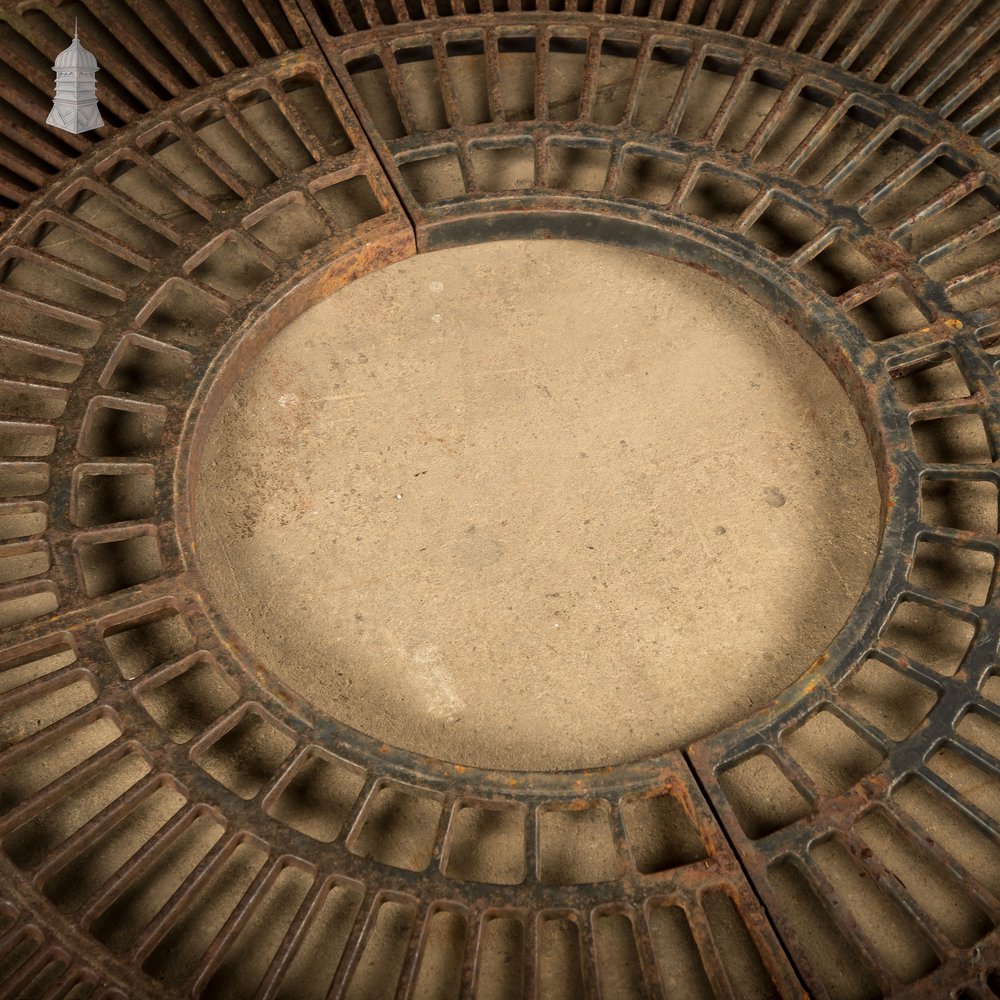 Pavement Root Guard for Trees, Cast Iron