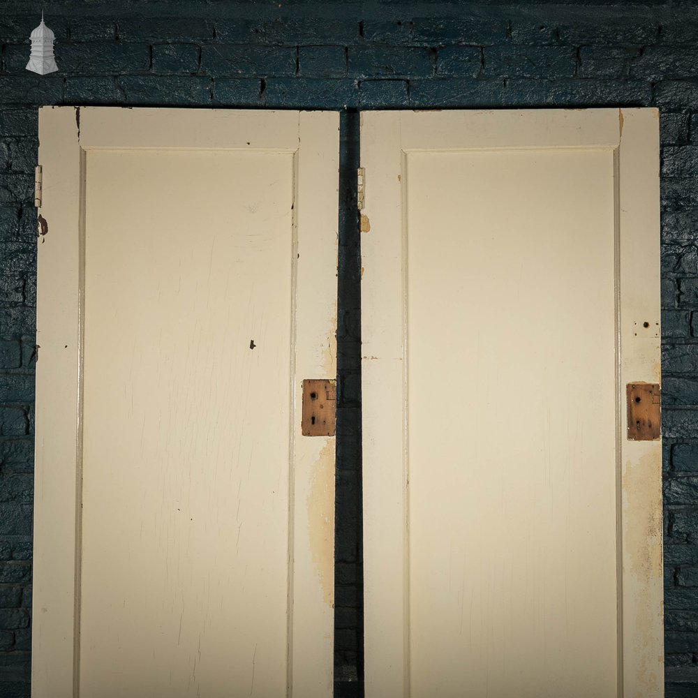 Pine Panelled Doors, Pair of White Painted Doors