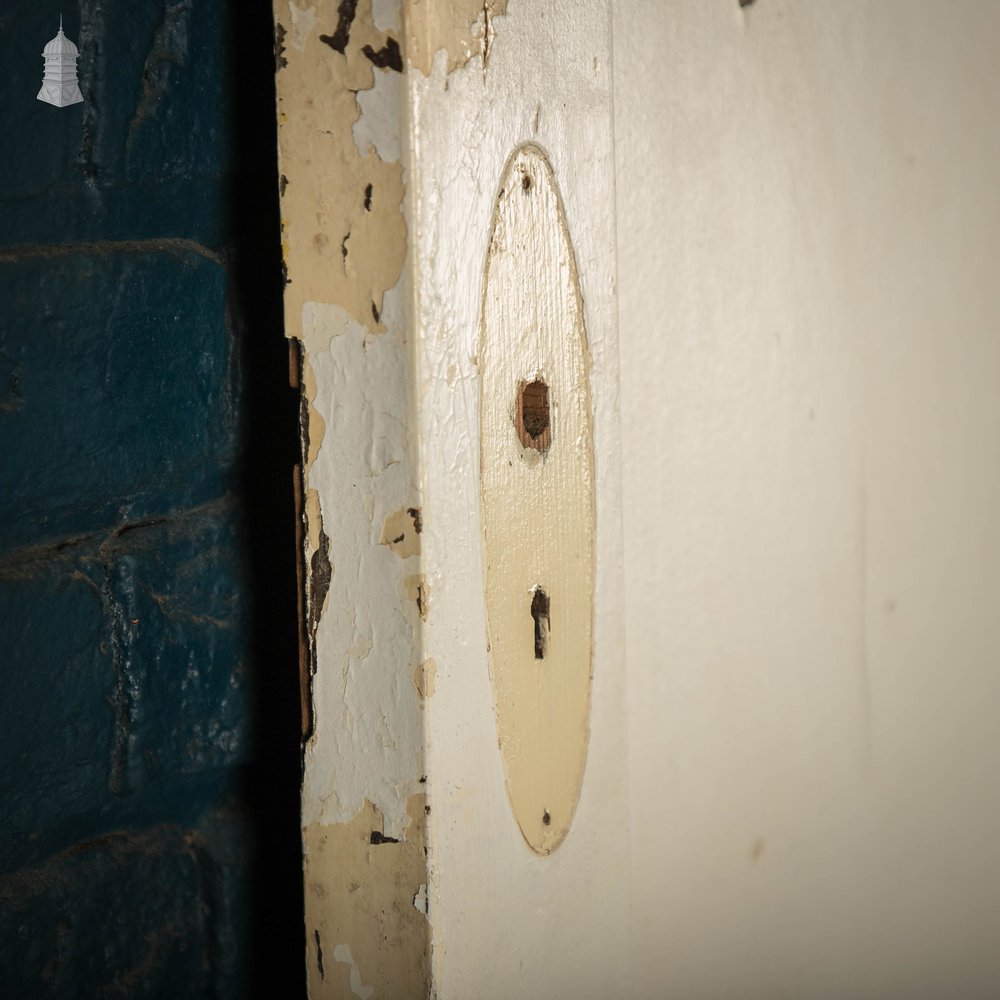 Pine Panelled Doors, Pair of White Painted Doors