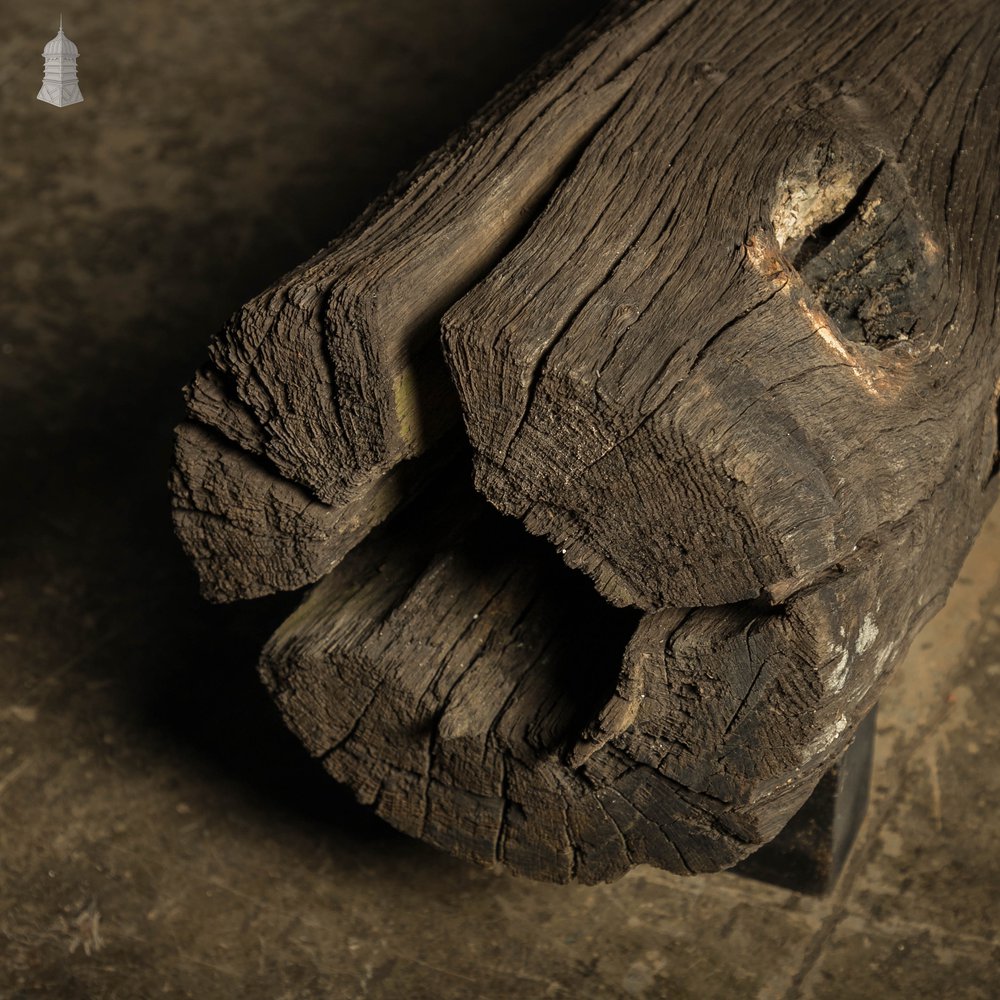 Medieval Well Pipe, Oak