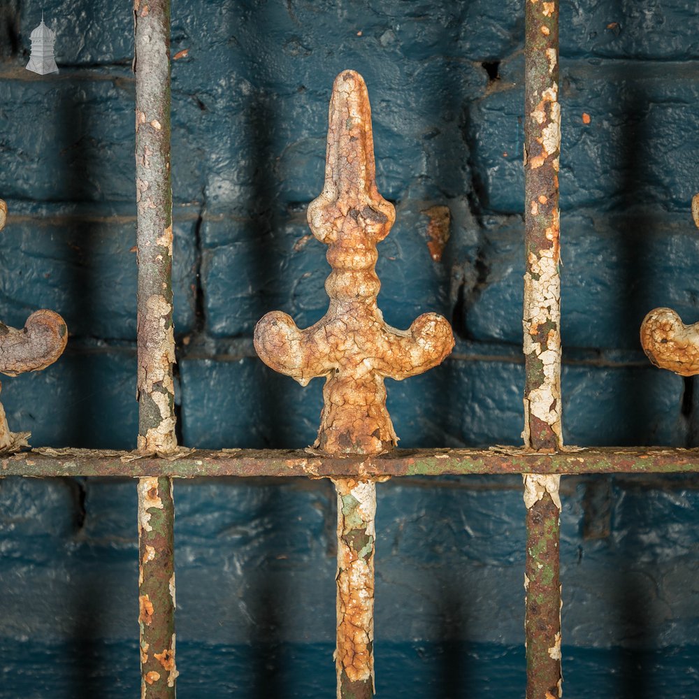 Wrought Iron Gate, Fleur-de-lis Finials