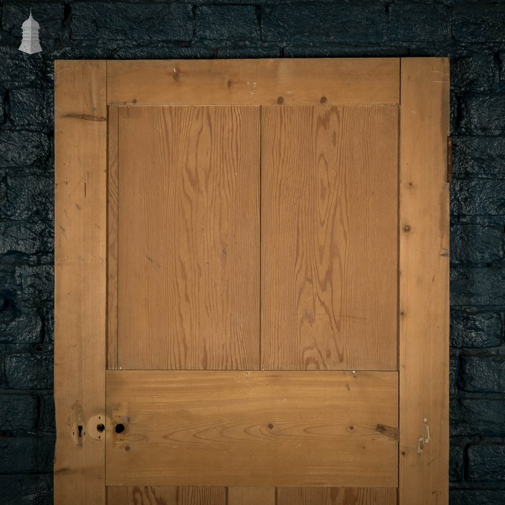 Pine Panelled Door, Moulded 3 Panel