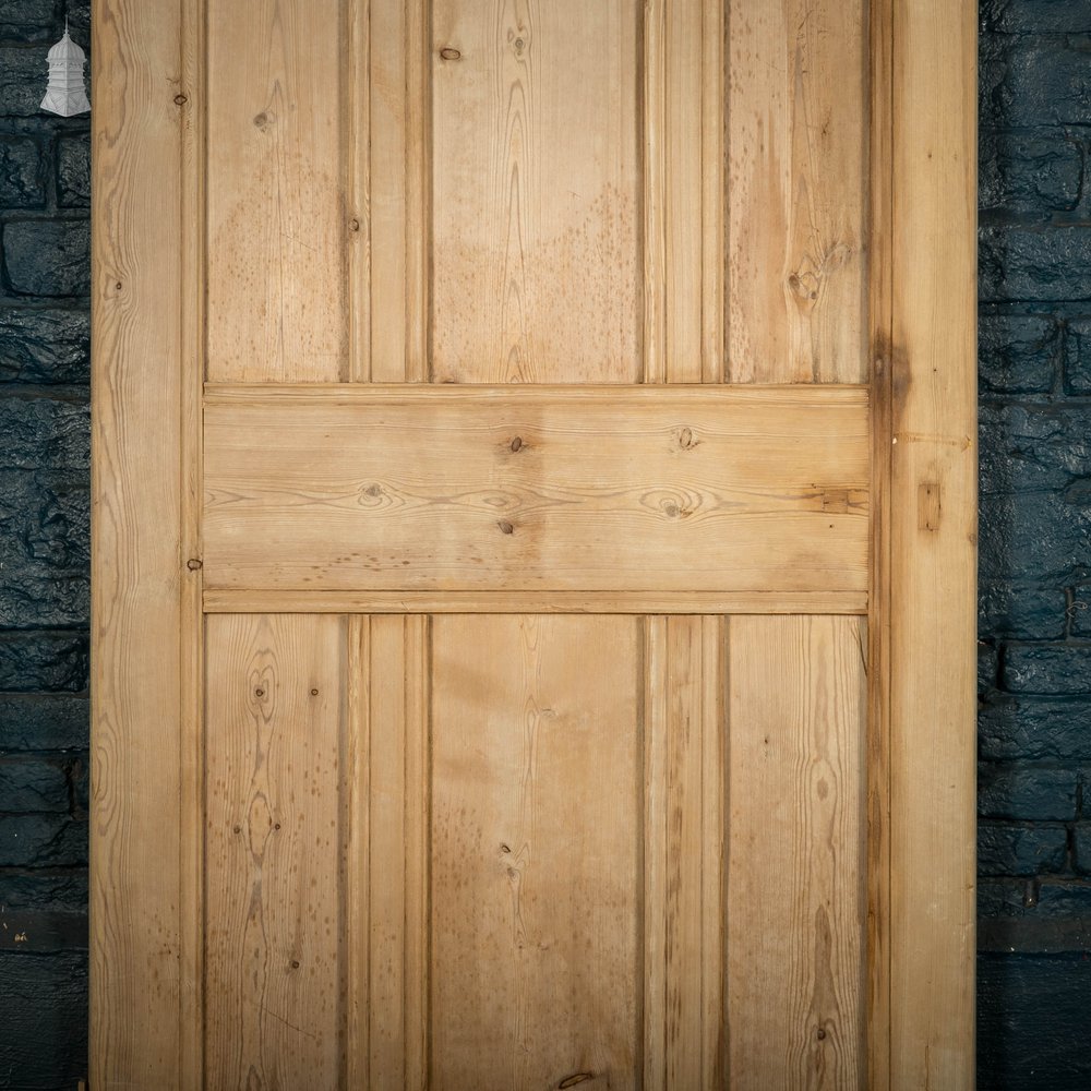 Pine Panelled Door, Moulded 6 Panel with Double Pivot Hinges