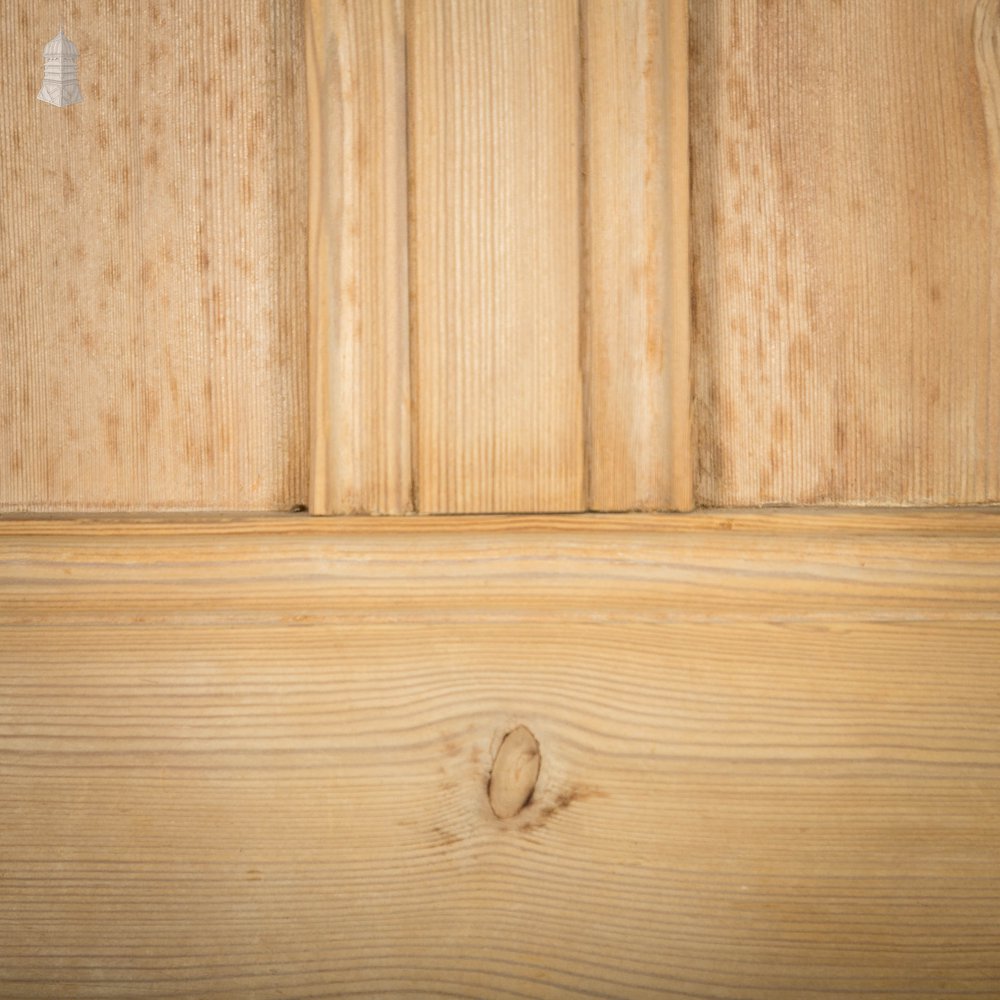 Pine Panelled Door, Moulded 6 Panel with Double Pivot Hinges