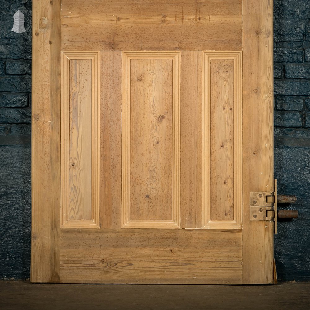 Pine Panelled Door, Moulded 6 Panel with Double Pivot Hinges