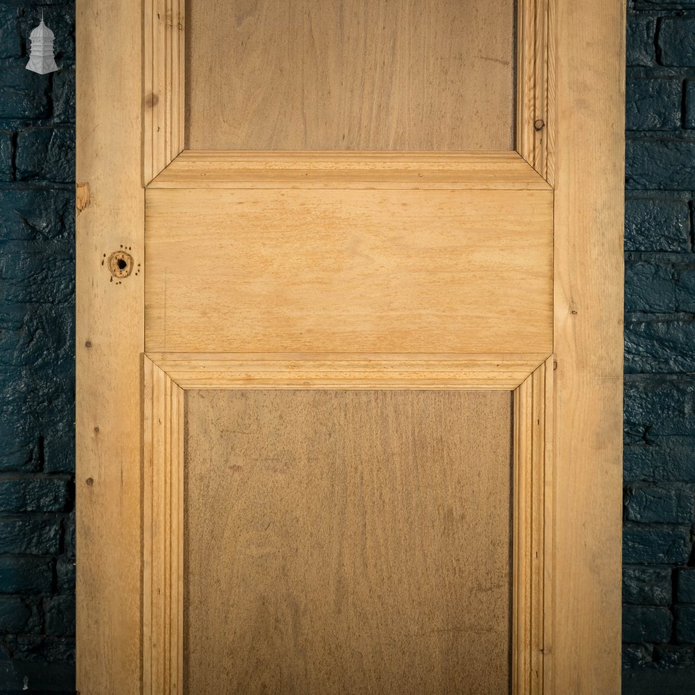 Pine Panelled Door, 2 Panel