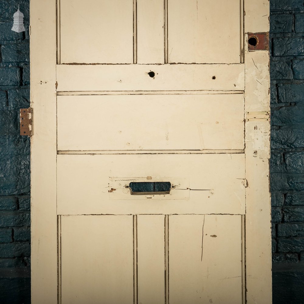 Pine Paneled Door, 5 Panel, White Painted