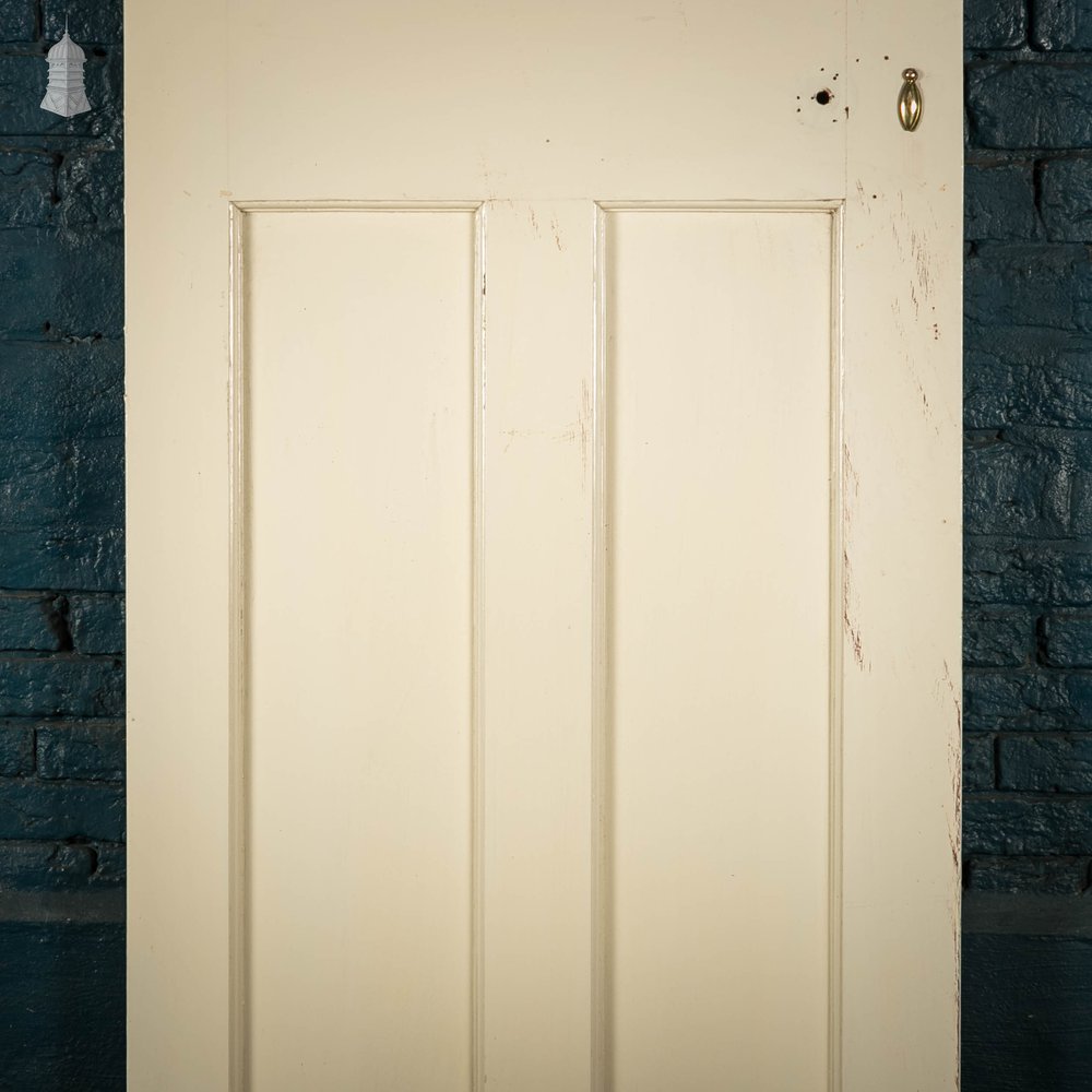 Pine Panelled Door, White Painted 3 Panel