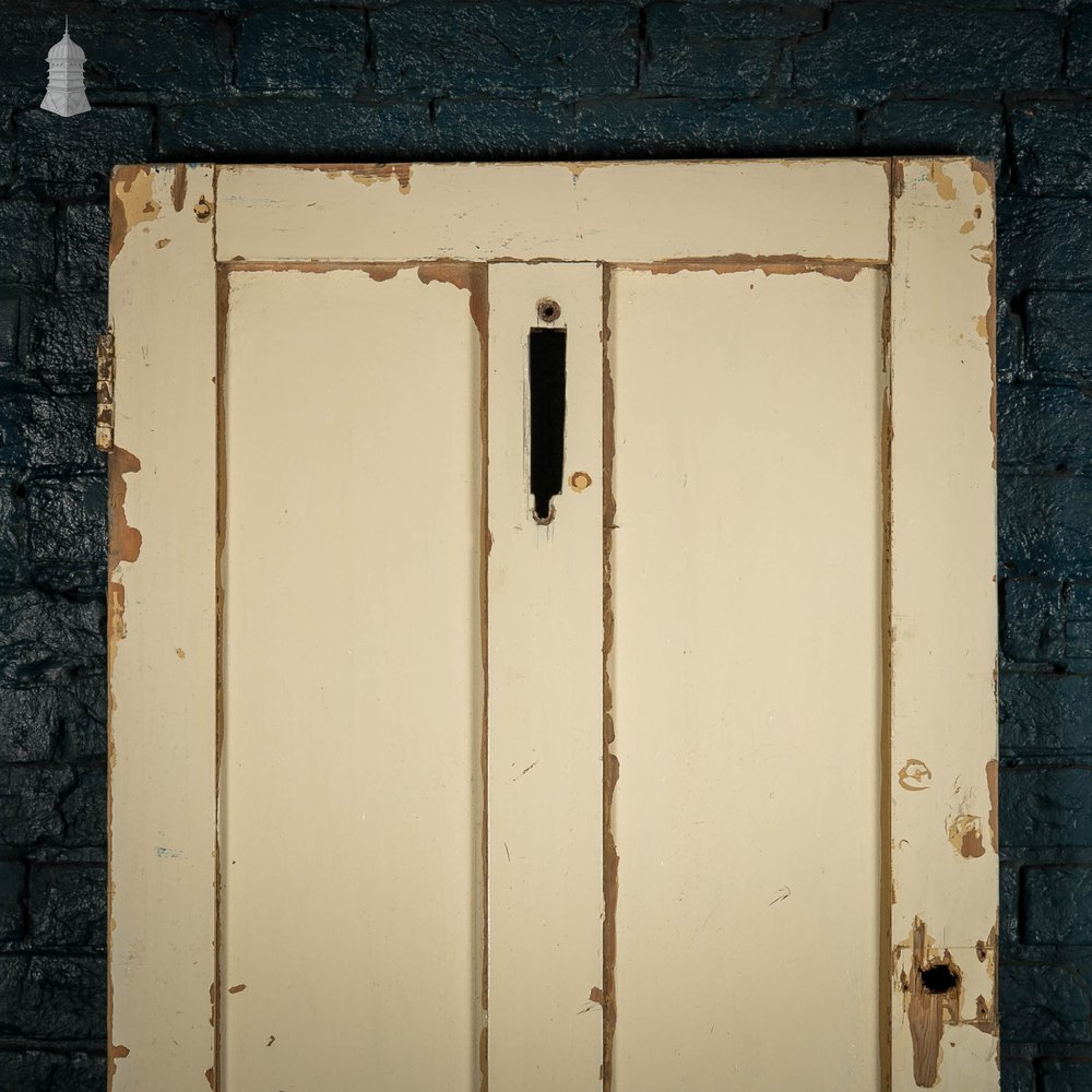 Pine Panelled Door, Moulded 4 Panel Painted Front Door