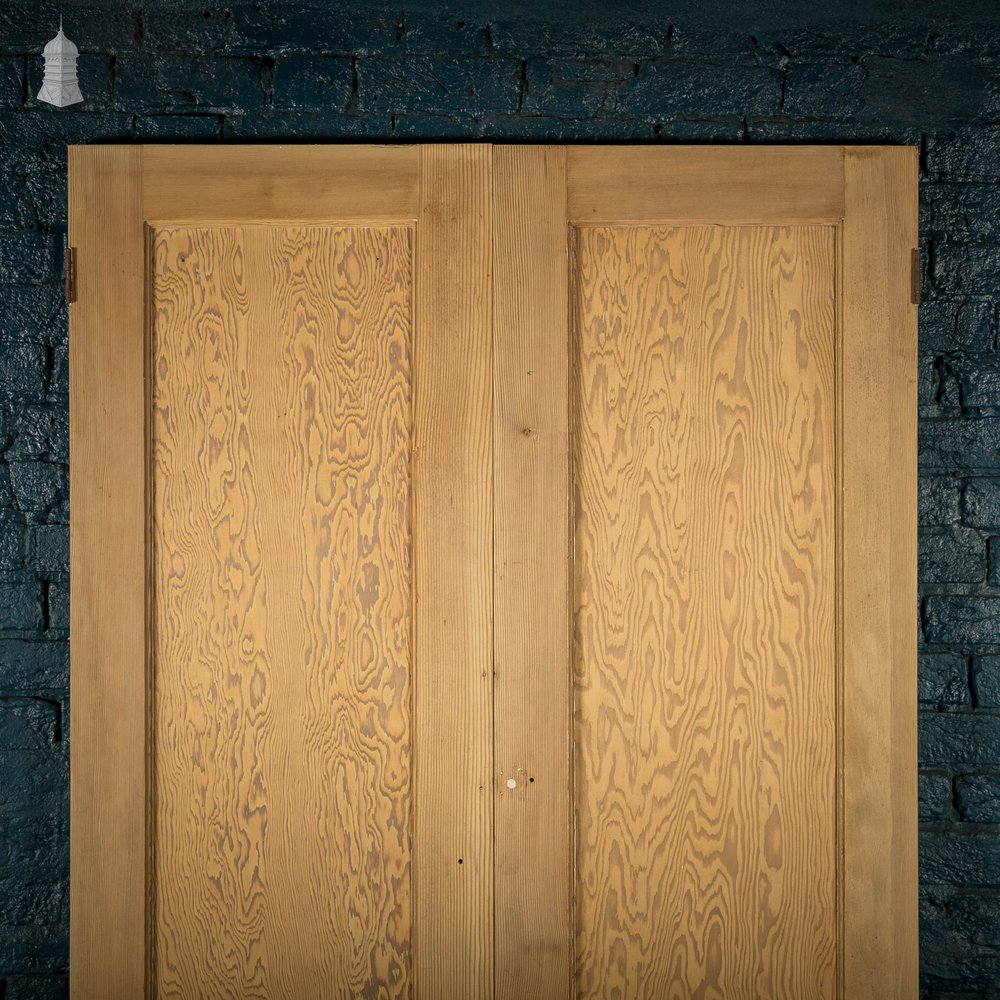 Pine Panelled Doors, Pair of Cupboard Doors