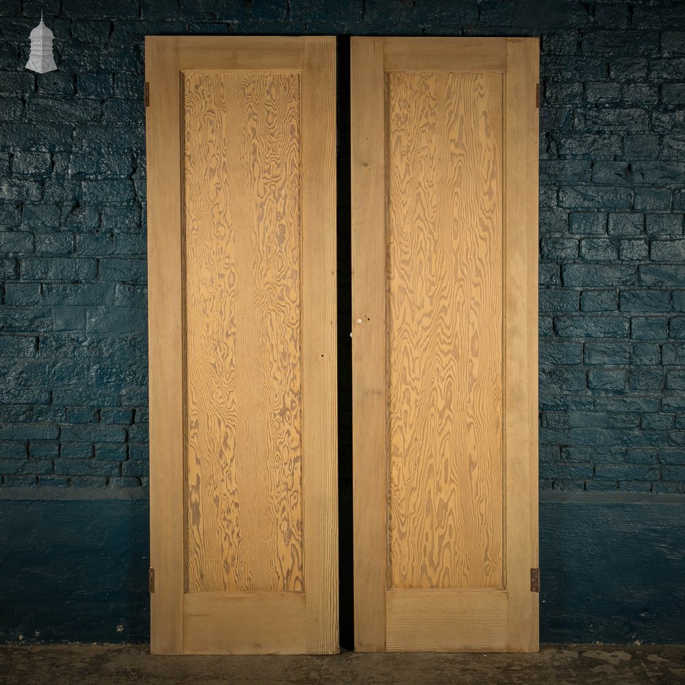 Pine Panelled Doors, Pair of Cupboard Doors