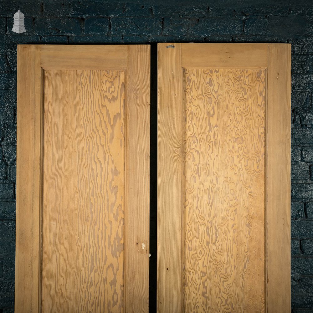 Pine Panelled Doors, Pair of Cupboard Doors