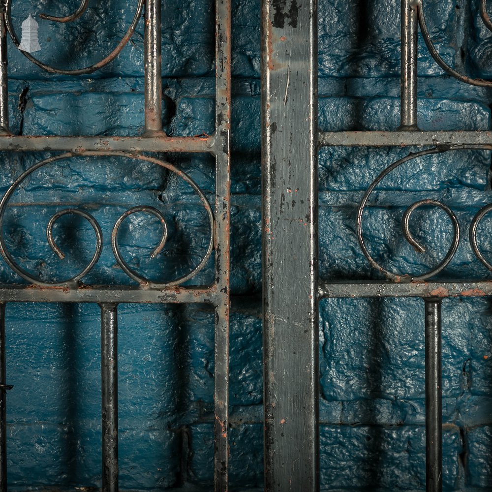 Pedestrian Gate and Panel, 20th C Wrought Iron Gate and Railing