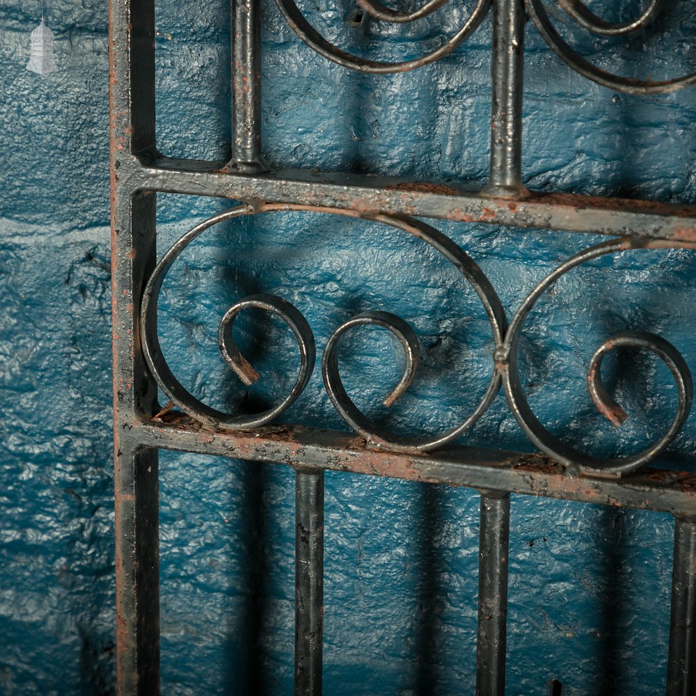 Pedestrian Gate and Panel, 20th C Wrought Iron Gate and Railing